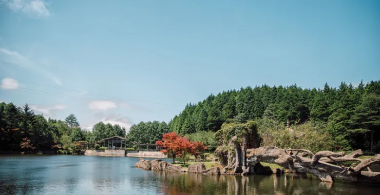 余姚四明山仰天湖景区青山绿水