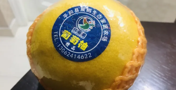 应季水果柚子葡萄柚