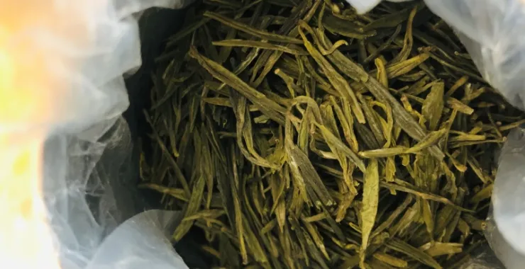 春茶茶叶