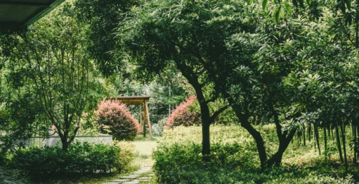 余姚四明山民宿花园蜿蜒小路绿色风景美景
