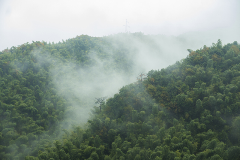 余姚大岚大山里山间云雾缭绕清晨美景航拍俯瞰山路群山青山绿树