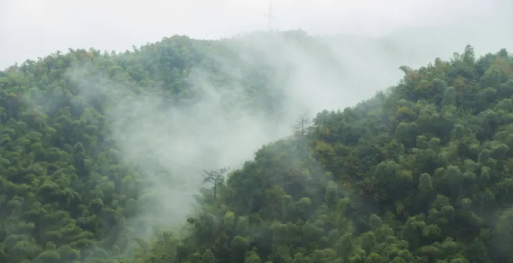 余姚大岚大山里山间云雾缭绕清晨美景航拍俯瞰山路群山青山绿树