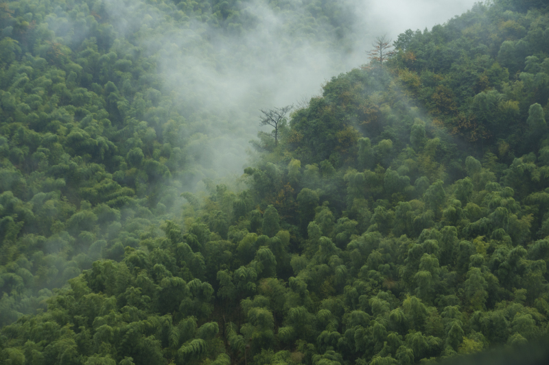 余姚大岚大山里山间云雾缭绕清晨美景航拍俯瞰山路群山青山绿树