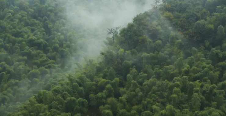 余姚大岚大山里山间云雾缭绕清晨美景航拍俯瞰山路群山青山绿树