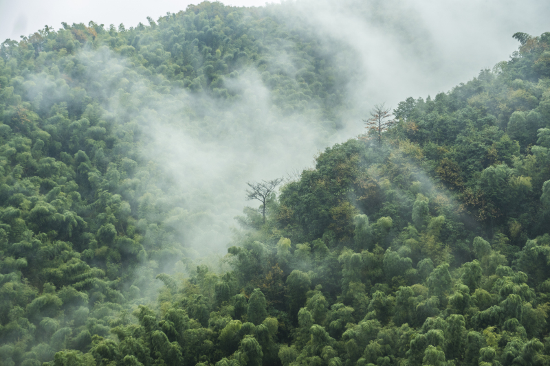 余姚大岚大山里山间云雾缭绕清晨美景航拍俯瞰山路群山青山绿树3