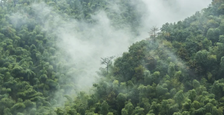 余姚大岚大山里山间云雾缭绕清晨美景航拍俯瞰山路群山青山绿树3
