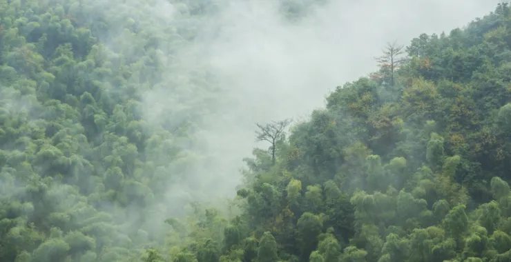 余姚大岚大山里山间云雾缭绕清晨美景航拍俯瞰山路群山青山绿树