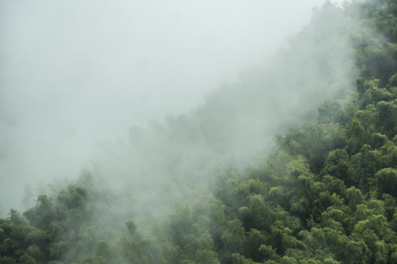 余姚大岚大山里山间云雾缭绕清晨美景航拍俯瞰山路群山青山绿树