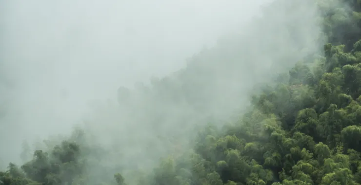 余姚大岚大山里山间云雾缭绕清晨美景航拍俯瞰山路群山青山绿树