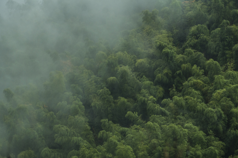 余姚大岚大山里山间云雾缭绕清晨美景航拍俯瞰山路群山青山绿树