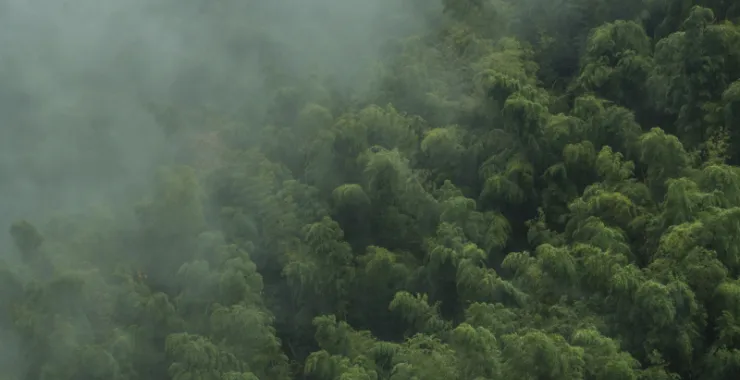 余姚大岚大山里山间云雾缭绕清晨美景航拍俯瞰山路群山青山绿树