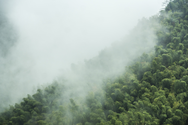 余姚大岚大山里山间云雾缭绕清晨美景航拍俯瞰山路群山青山绿树