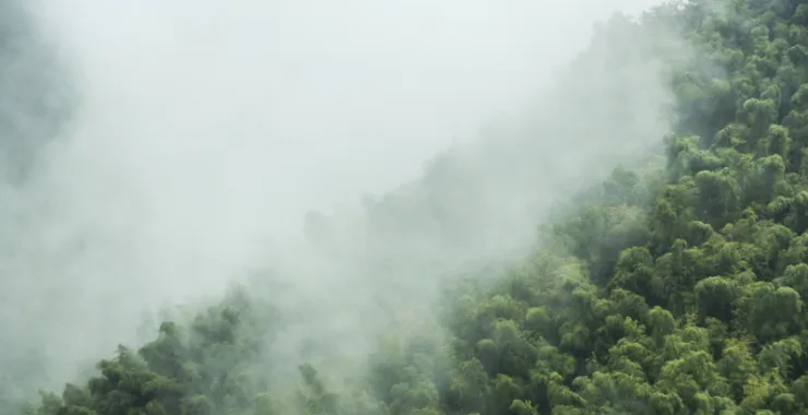 余姚大岚大山里山间云雾缭绕清晨美景航拍俯瞰山路群山青山绿树