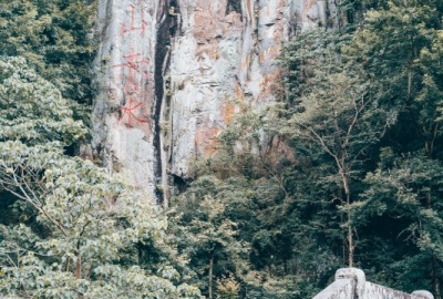 SimilarPics