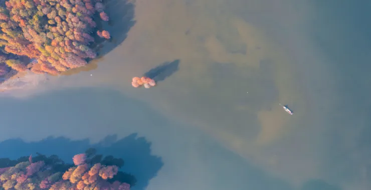余姚四明湖红杉林美景唯美朦胧湖水俯瞰航拍