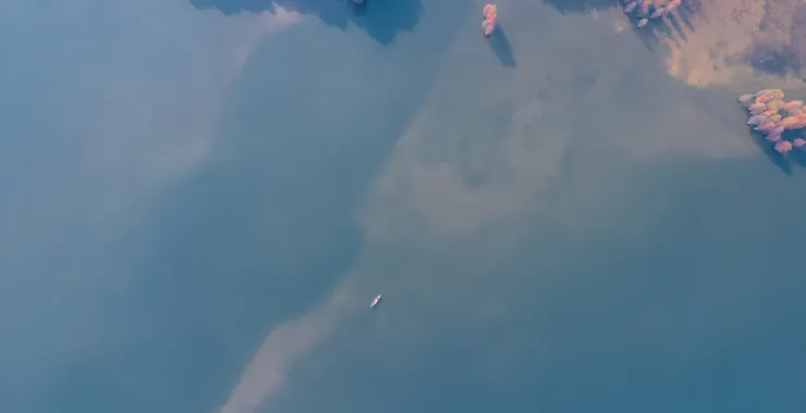 余姚四明湖红杉林美景唯美朦胧湖水俯瞰航拍