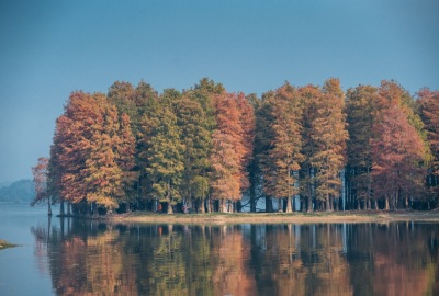 SimilarPics