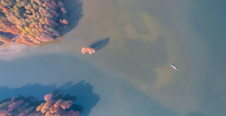 余姚四明湖红杉林美景唯美朦胧湖水俯瞰航拍