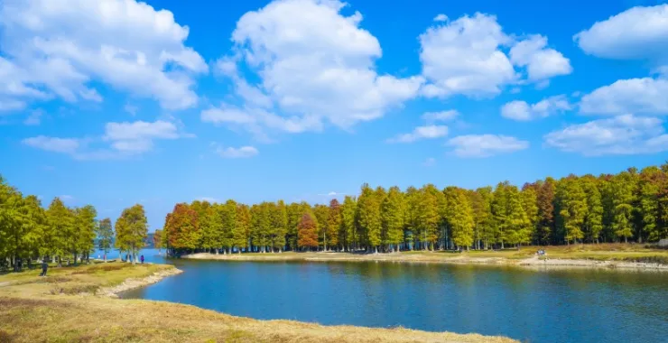 余姚蓝天白云四明湖红杉林网红打卡拍照风景景点
