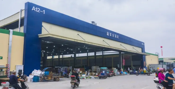 余姚海吉星非庙弄农副产品批发市场商贩买卖蔬菜交易