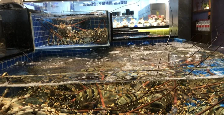 美食网红小海鲜打卡餐厅龙虾海螺