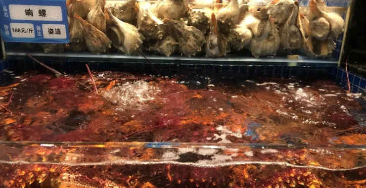 美食网红小海鲜打卡餐厅龙虾海螺