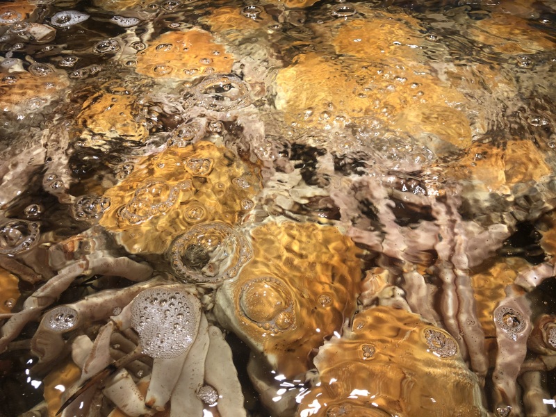 美食网红小海鲜打卡餐厅螃蟹