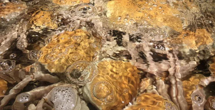 美食网红小海鲜打卡餐厅螃蟹