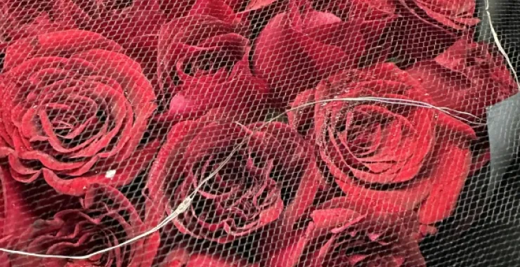 鲜花花束情人节皇冠玫瑰花