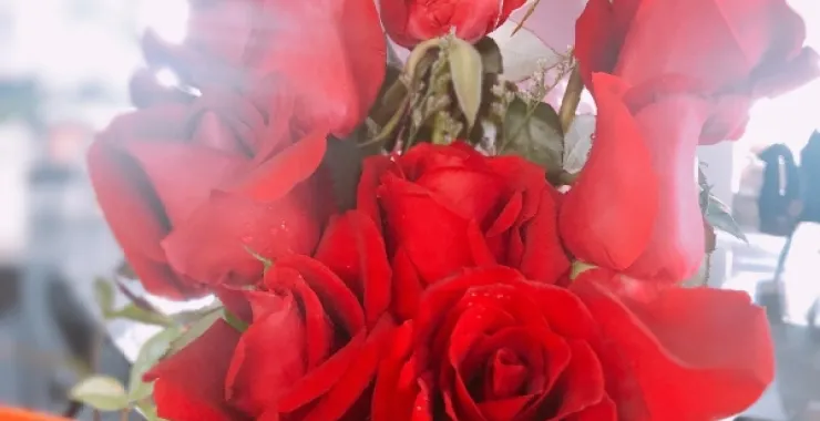 鲜花花束玫瑰情人节520七夕节
