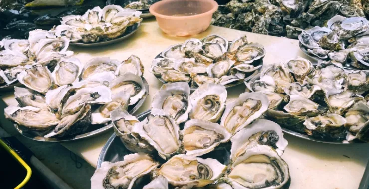 广西北海海鲜市场美食夜宵宵夜烧烤生蚝
