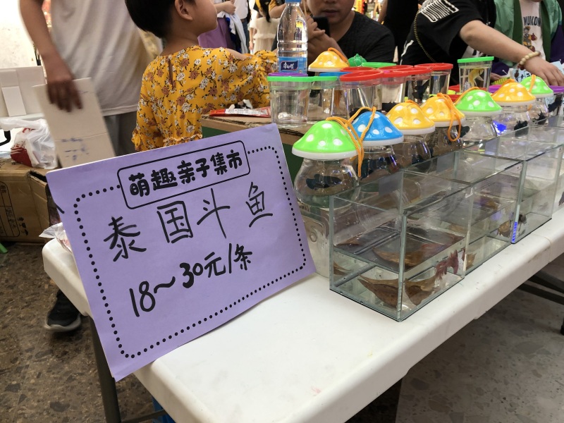 余姚众安广场亲子活动现场帐篷摆摊金鱼