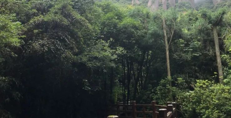 福建太姥山群山山间过道