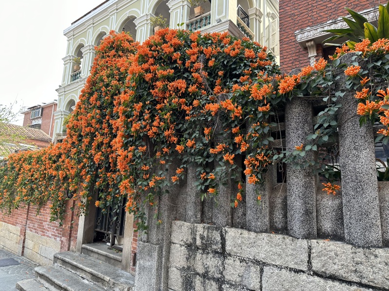 厦门鼓浪屿旅游景点郊游打卡