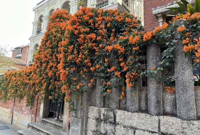 SimilarPics