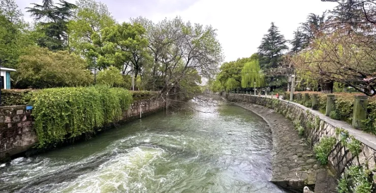 杭州西湖风景区河水湖水公园树木