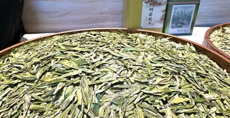 杭州西湖风景区西湖龙井明前茶茶叶