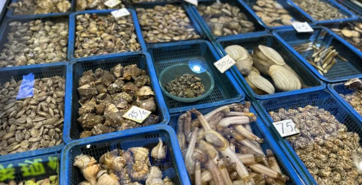 厦门八市美食海鲜水果特产网红打卡宵夜