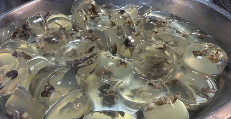 厦门八市美食海鲜水果特产网红打卡宵夜
