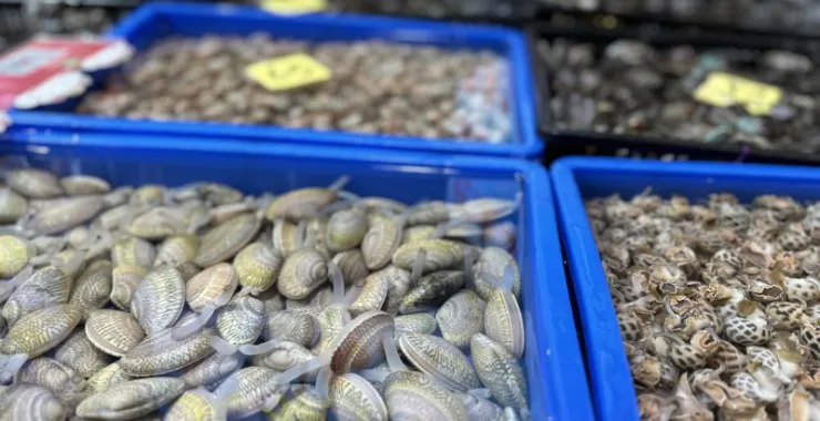 厦门八市美食海鲜水果特产网红打卡宵夜