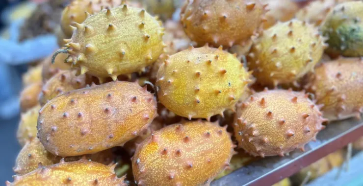 厦门八市美食海鲜水果特产网红打卡宵夜