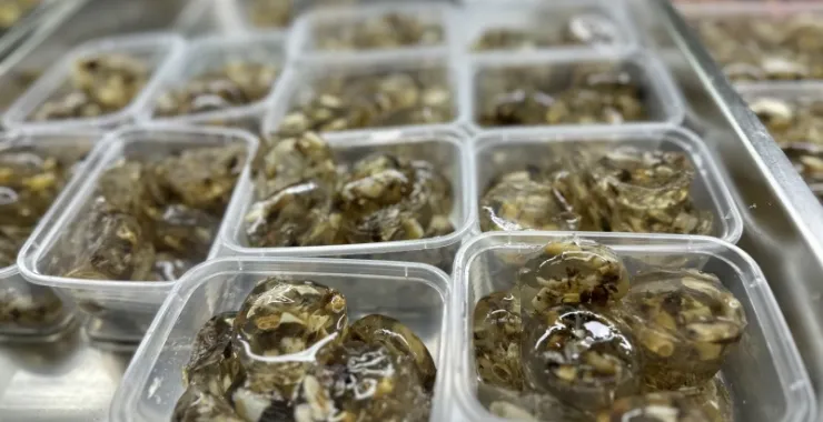 厦门八市美食海鲜水果特产网红打卡宵夜土笋冻