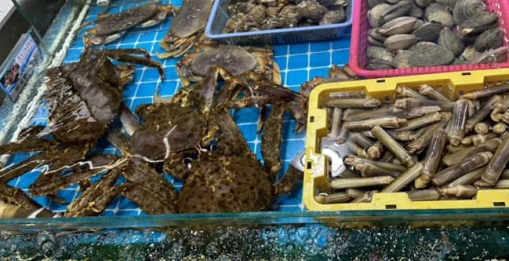 厦门八市美食海鲜水果特产网红打卡宵夜螃蟹蛏子蚌海螺