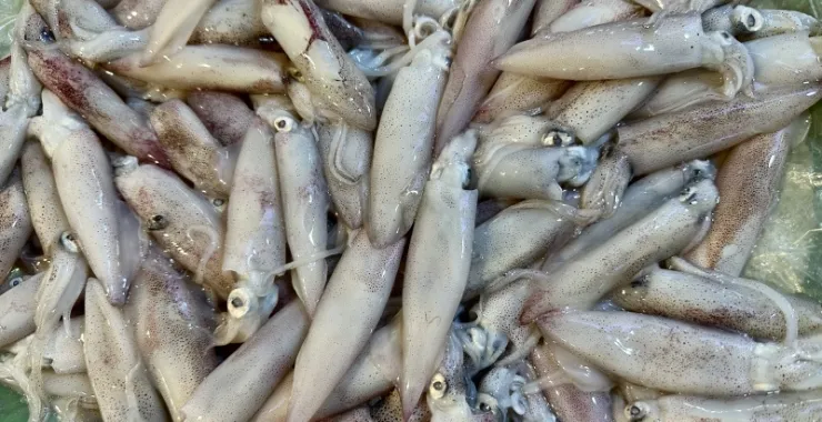 厦门八市美食海鲜水果特产网红打卡宵夜章鱼鱿鱼串串