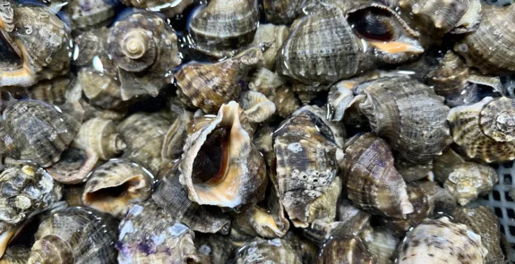 厦门八市美食海鲜水果特产网红打卡宵夜