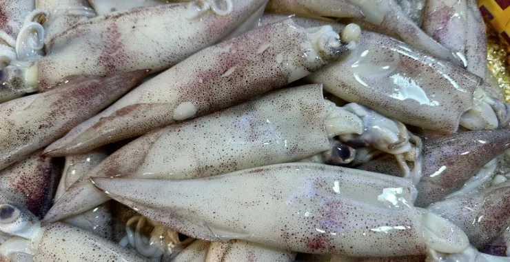 厦门八市美食海鲜水果特产网红打卡宵夜