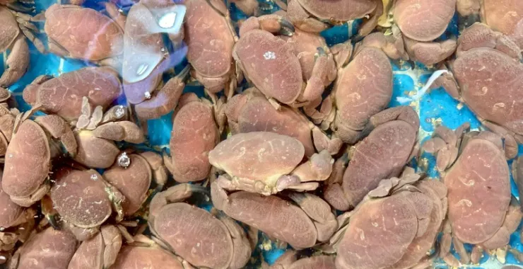 厦门中山路美食海鲜水果特产网红打卡宵夜