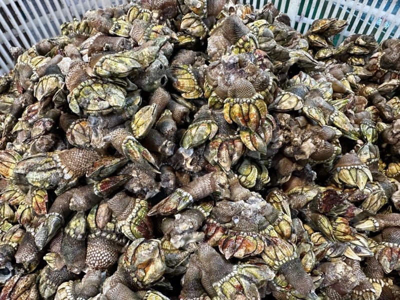 厦门中山路美食海鲜水果特产网红打卡宵夜