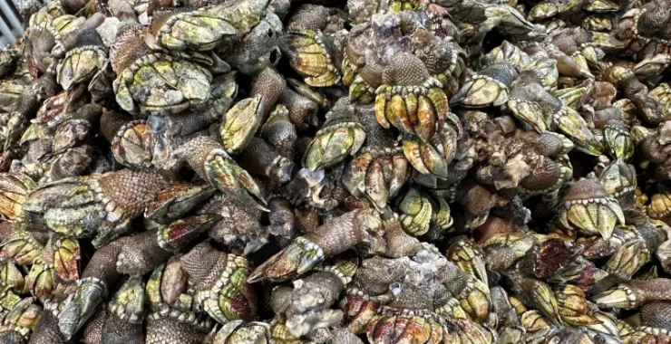 厦门中山路美食海鲜水果特产网红打卡宵夜