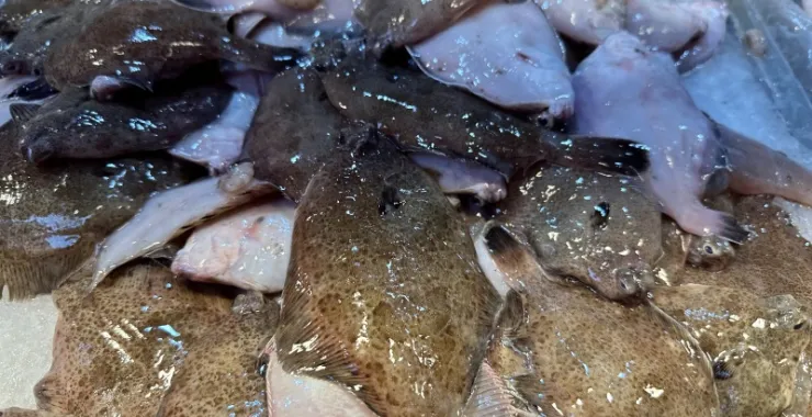 厦门中山路美食海鲜水果特产网红打卡宵夜